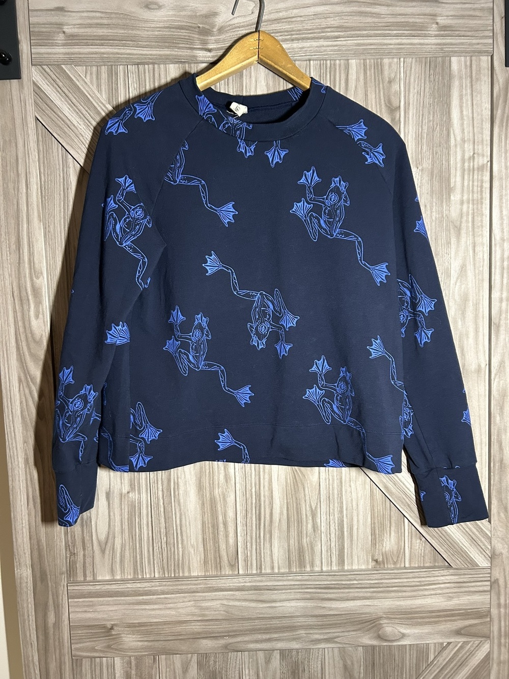 🍁 Smoking Lily Hand-Screenprinted "Swimming Frogs" Raglan Sweatshirt - Size Larg